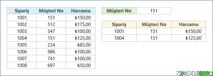 Gelişmiş Filtreleme Örneği