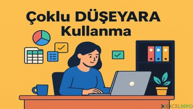 Çoklu DÜŞEYARA Kullanma